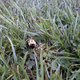 Image for article titled Shooting Challenge: Cellphone Gallery Part 10